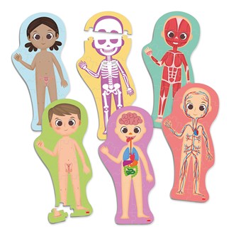 Lattiapalapeli minun kehoni, 6 kpl