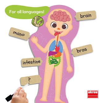 Lattiapalapeli minun kehoni, 6 kpl