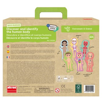 Lattiapalapeli minun kehoni, 6 kpl