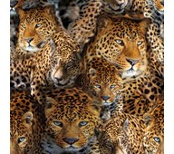 Puuvillakangas, leopardi