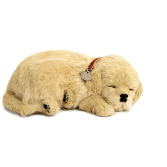 Terapiakoira, joka hengittää