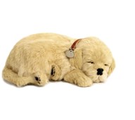 Terapiakoira, joka hengittää