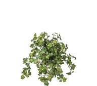 Tekokasvi, Muratti, riippuva, 45 cm