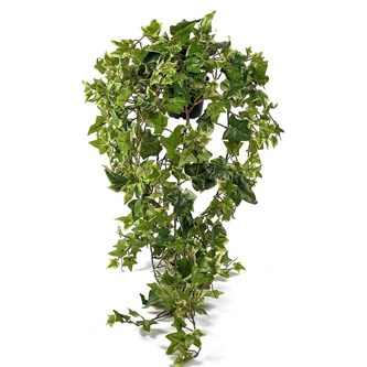 Tekokasvi, Muratti, riippuva, 85 cm