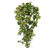 Tekokasvi, Muratti, riippuva, 85 cm