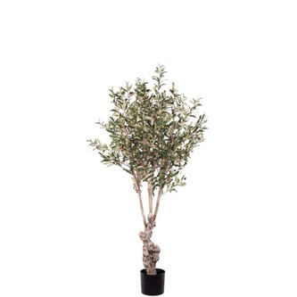 Tekokasvi, Oliivipuu 150 cm