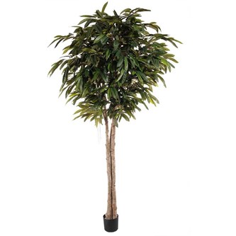 Tekokasvi, Poppeli 260 cm