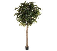 Tekokasvi, Poppeli 260 cm