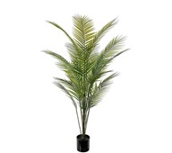 Tekokasvi, Vuoripalmu 140 cm