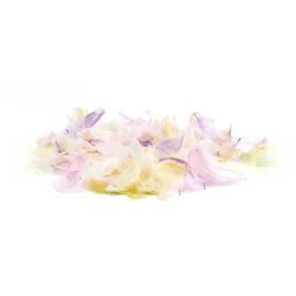 Höyhenet, pastellivärit, 200 kpl