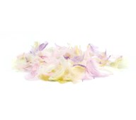 Höyhenet, pastellivärit, 200 kpl