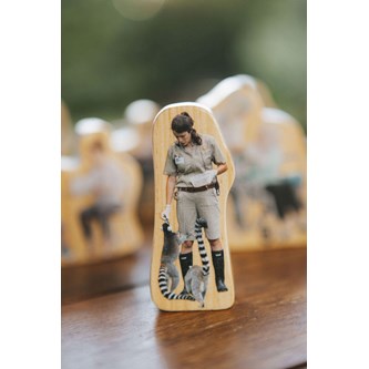 Puuhahmot, arjen sankarit, 18 kpl