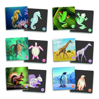 Muistipeli maxi-MEMO, eläimet ja luurangot