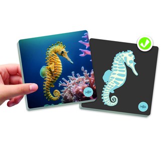 Muistipeli maxi-MEMO, eläimet ja luurangot