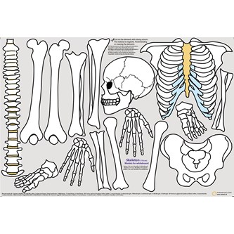 Luuranko 116 cm, magneettinen
