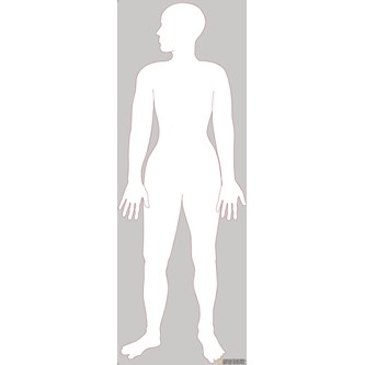 Elimet 88 cm, magneettinen