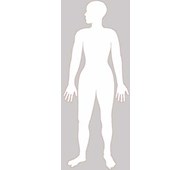 Vartalo 88 cm, magneettinen