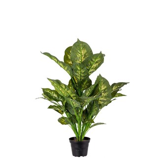 Tekokasvi, Itulehti exotica 55 cm