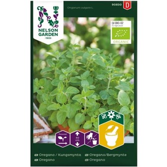 Oregano, siemenpussi