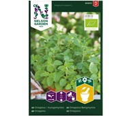 Oregano, siemenpussi