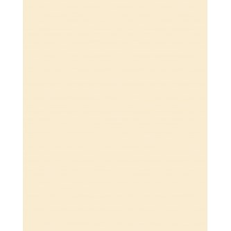 Fotokartonki Folia 70x100 cm, 300 g, 10 ark