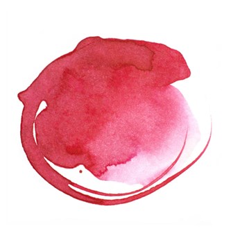 Liquitex Acrylic Ink 30 ml