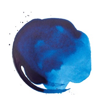 Liquitex Acrylic Ink 30 ml