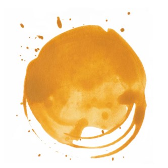 Liquitex Acrylic Ink 30 ml