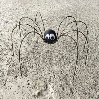 Pitkäjalkainen hämähäkki