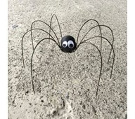 Pitkäjalkainen hämähäkki