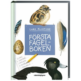 Första fågelboken, svenskspråkig