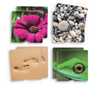 Muistipeli MEMO, taktiili, luonto