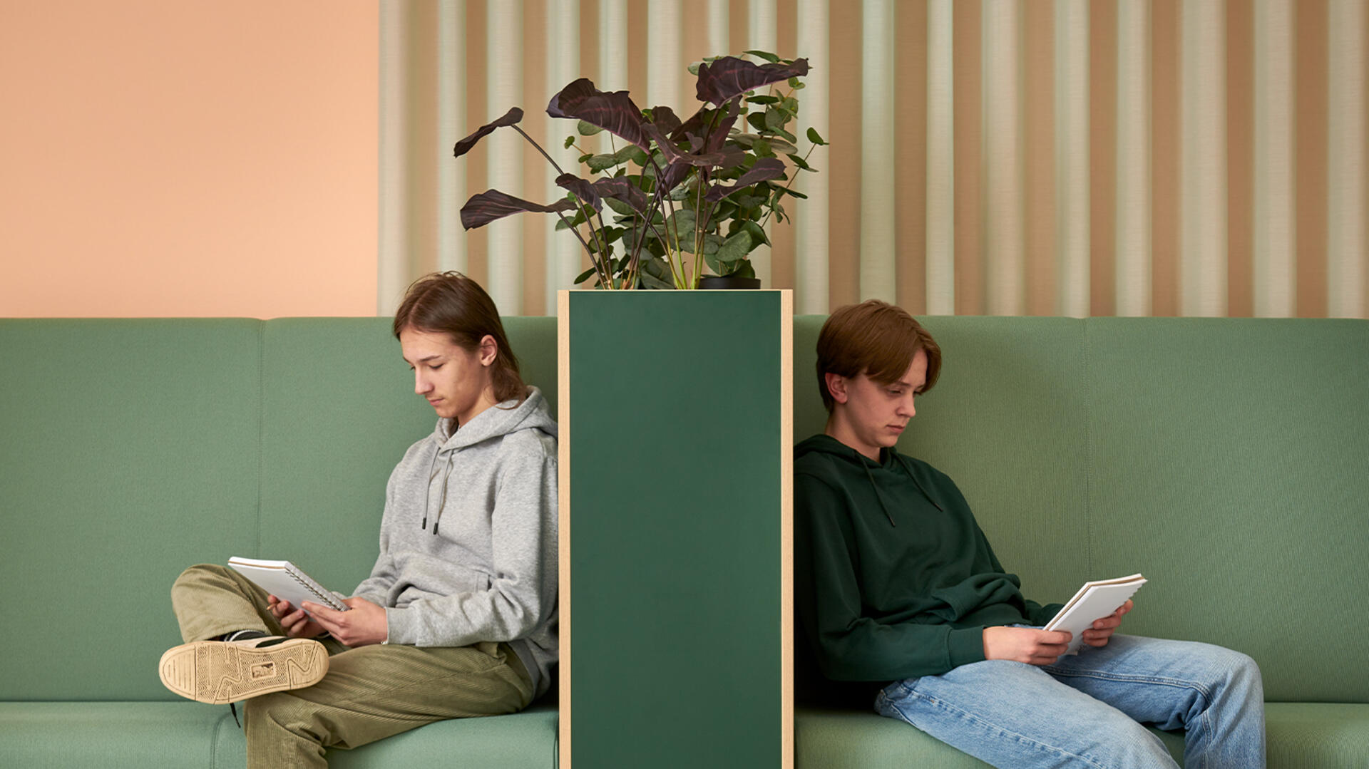 Kasvilaatikot/tilanjakajat