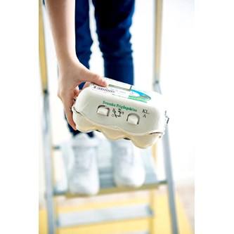 Kestävän kananmunapakkauksen suunnittelu