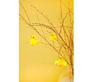 Lentävä pääsiäistipu puuhahelmistä