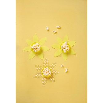 Pienet pääsiäisnarsissit