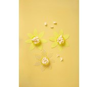 Pienet pääsiäisnarsissit