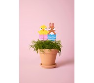 Helmikoriste, pupu ja tipu